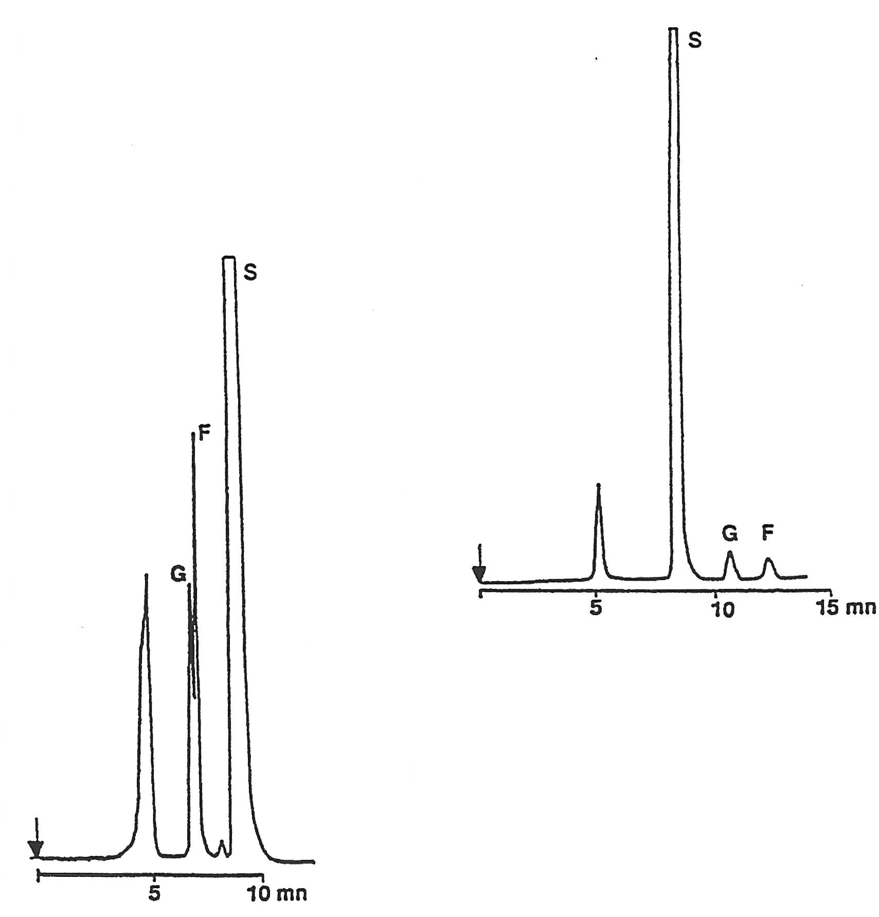 Fructose (Chervil Root)