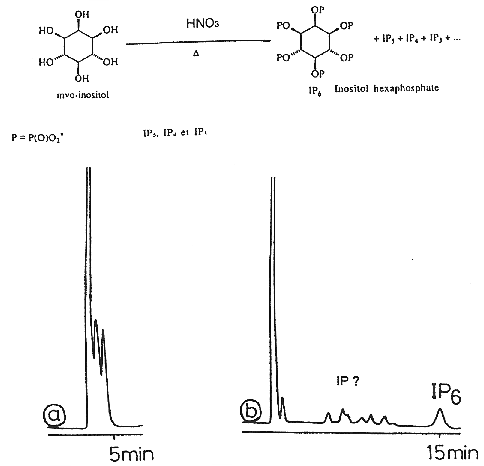 Inositol Phophate